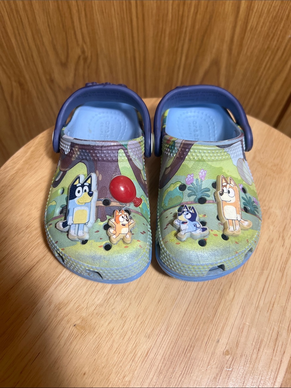 CROCS Kids Light Blue and Green Bluey Garden Clogs with Characters